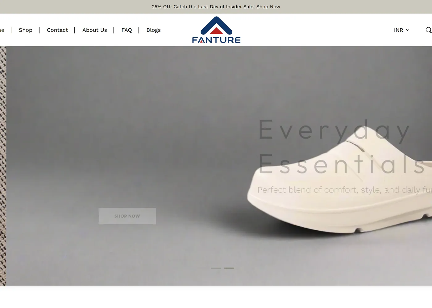 Fanture storefront homepage